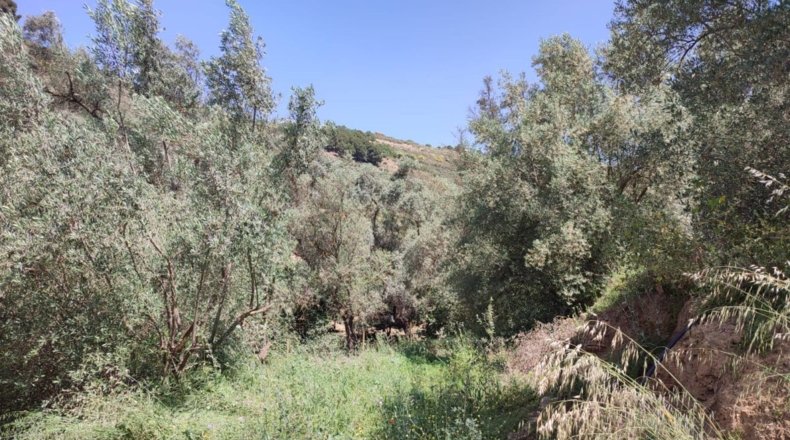Granada - Chite - 2000m2