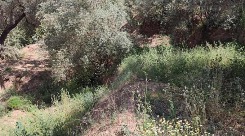 Granada - Chite - 2000m2