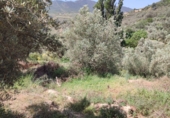 Terreno no urbanizable en venta en Béznar ref: TR53421 foto