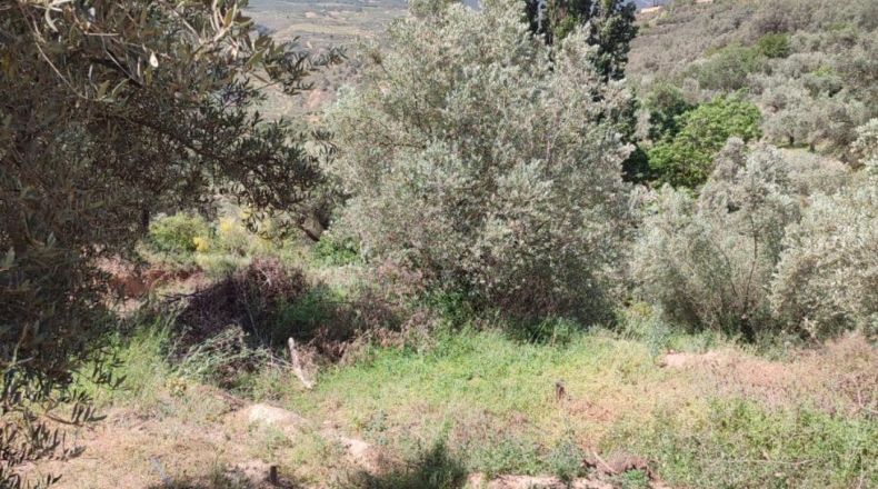 Granada - Chite - 2000m2