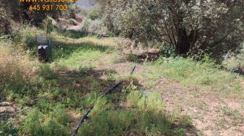 Granada - Chite - 2000m2