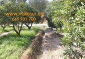 Non-developable land for sale in Pinos del Valle ref: TR54875 photo