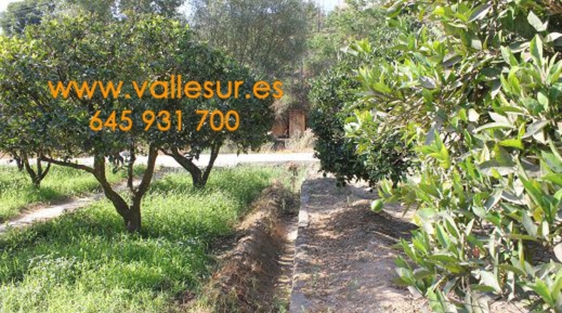 Granada - Restábal - 2000m2