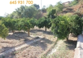 Non-developable land for sale in Pinos del Valle ref: TR54875 photo
