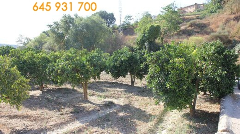 Granada - Restábal - 2000m2