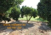 Non-developable land for sale in Pinos del Valle ref: TR54875 photo