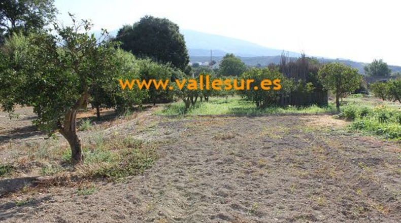 Granada - Restábal - 2000m2