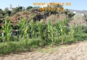 Non-developable land for sale in Pinos del Valle ref: TR54875 photo
