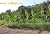 Non-developable land for sale in Pinos del Valle ref: TR54875 photo
