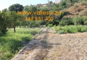 Non-developable land for sale in Pinos del Valle ref: TR54875 photo