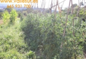 Non-developable land for sale in Pinos del Valle ref: TR54875 photo