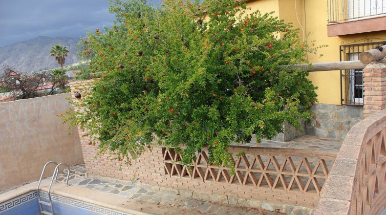 Granada - Dúrcal - 300m2