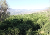 Terreno no urbanizable en venta en Murchas ref: TR110635 foto