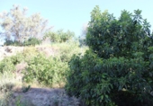 Terreno no urbanizable en venta en Murchas ref: TR110635 foto