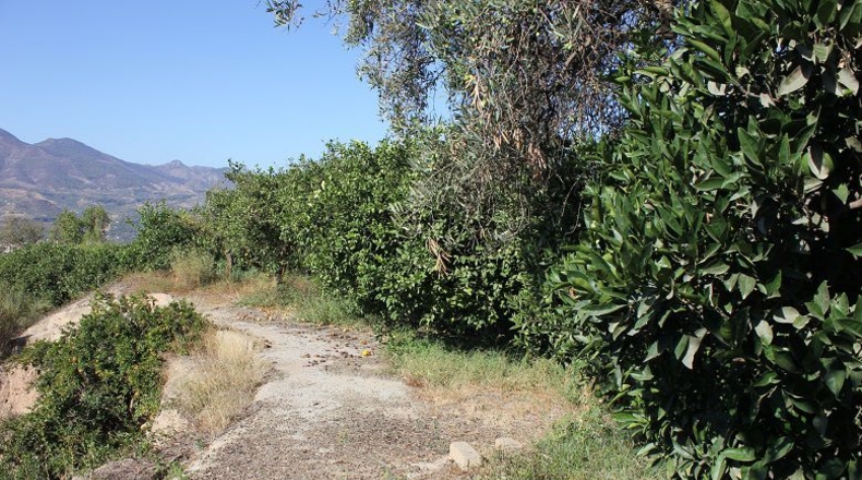 Granada - Murchas - 5000m2