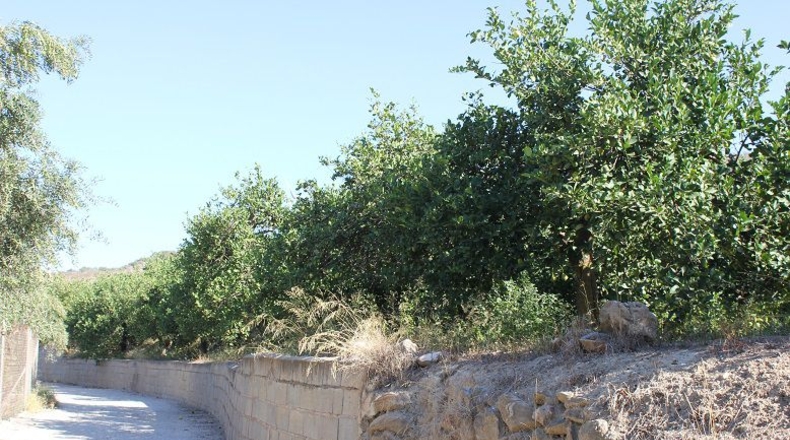Granada - Murchas - 5000m2