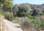 Terreno no urbanizable en venta en Murchas ref: TR110635 foto