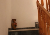 Casa de poble en venda a la España, Talará, ref.: TR93879 foto