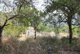Foto 7