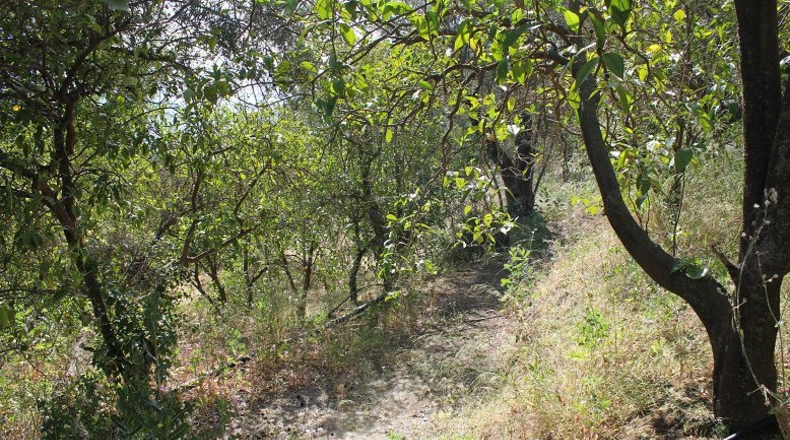 Granada - Restábal - 3855m2