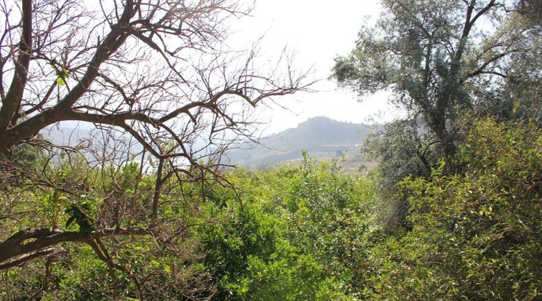 Granada - Restábal - 3855m2