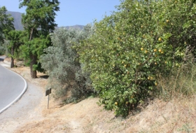 Foto 17