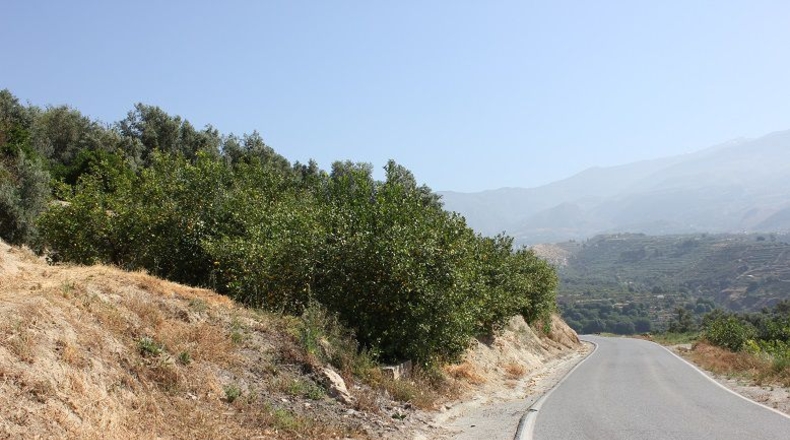 Granada - Restábal - 3855m2