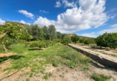 Non-developable land for sale in Pinos del Valle ref: TR233324 photo