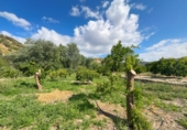 Non-developable land for sale in Pinos del Valle ref: TR233324 photo