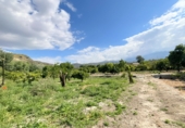 Non-developable land for sale in Pinos del Valle ref: TR233324 photo