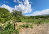 Non-developable land for sale in Pinos del Valle ref: TR233324 photo