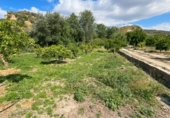 Non-developable land for sale in Pinos del Valle ref: TR233324 photo