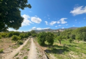 Non-developable land for sale in Pinos del Valle ref: TR233324 photo