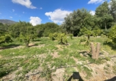 Non-developable land for sale in Pinos del Valle ref: TR233324 photo