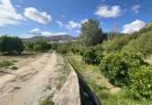 Non-developable land for sale in Pinos del Valle ref: TR233324 photo
