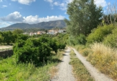 Non-developable land for sale in Pinos del Valle ref: TR233324 photo