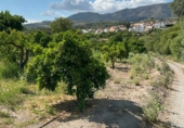 Non-developable land for sale in Pinos del Valle ref: TR233324 photo