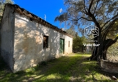 Parcela urbanizable en venta en Talará ref: TR374864 foto