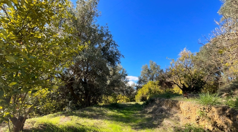Granada - Talará - 28m2
