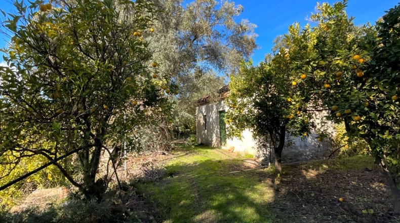 Granada - Talará - 28m2