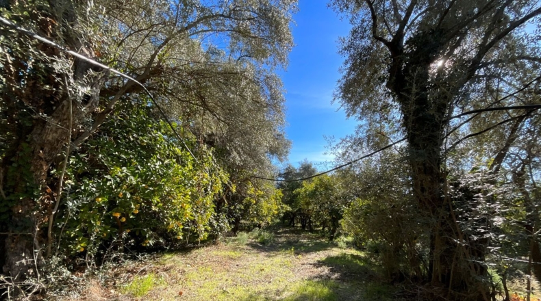 Granada - Talará - 28m2