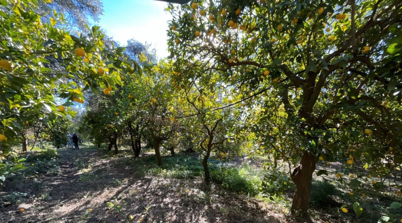Granada - Talará - 28m2