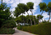 Terreny no urbanitzable en venda a Marbella ref.: TR109900 foto