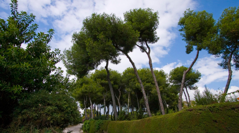 Málaga - San Pedro de Alcántara - 3470m2