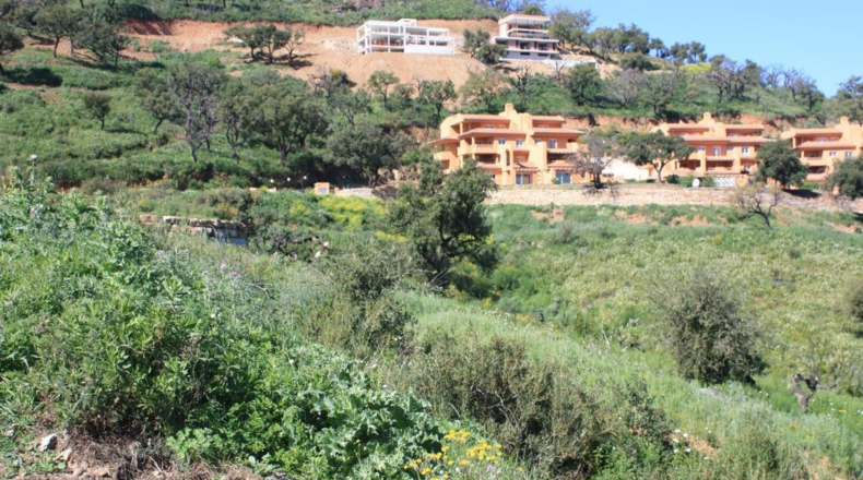 Málaga - San Pedro de Alcántara - 3470m2