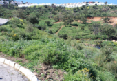 Terreny no urbanitzable en venda a Marbella ref.: TR109900 foto