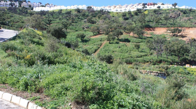 Málaga - San Pedro de Alcántara - 3470m2