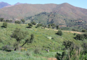 Terreny no urbanitzable en venda a Marbella ref.: TR109900 foto