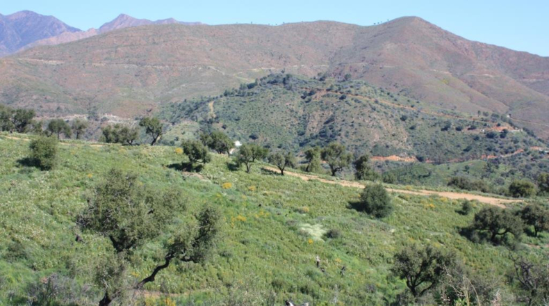 Málaga - San Pedro de Alcántara - 3470m2