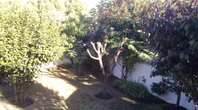 Málaga - San Pedro de Alcántara - 743m2